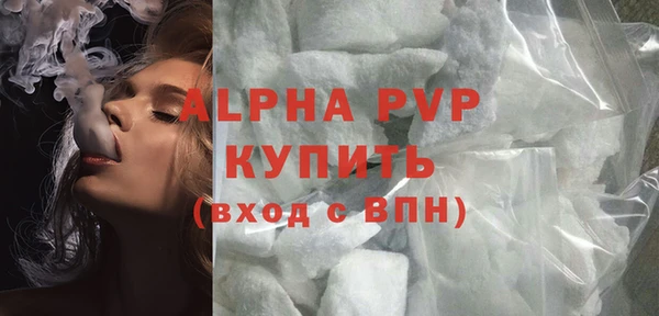 стаф Богданович