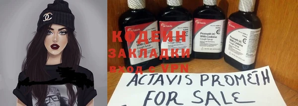 стаф Богданович
