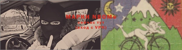 стаф Богданович
