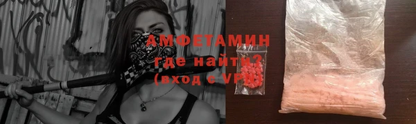 стаф Богданович