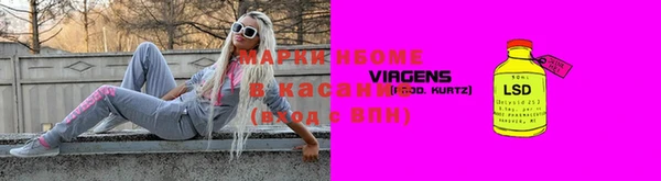 стаф Богданович