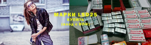 стаф Богданович